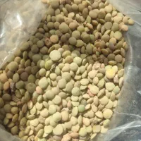 عدس۱۸۰|خوردنی و آشامیدنی|قیدار, |دیوار