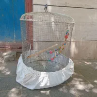 قفس طوطی. سایز بزرگ با لوازم داخلش
