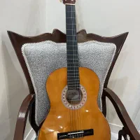 گیتار سالم
