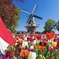 آموزش زبان هلندی