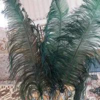 پرعلامت سبز پررنگ سالم
