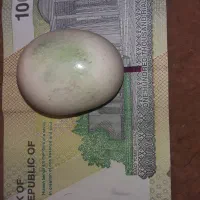 الماس آسیاب