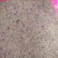 عدس سفید و قرمز محلی