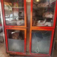 یخچال ایستاده مرغی