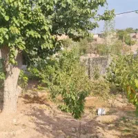 فروش‌ فوری‌فوق‌العاده