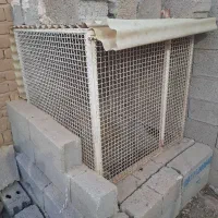 قفس ، کفتر ، سگ ، مرغ