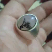 انگشترشجرتک درخت‌کلکسیونی
