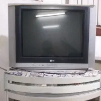 تلویزیون
