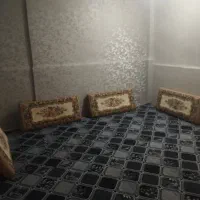 نیاز-به-یه-هم-خانه-ترجیهن-خانوم