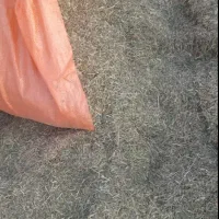 کاه یونجه درجه یک