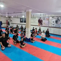 آموزش حرفه ای کیک بوکسینگ.MMA.و دفاع شخصی