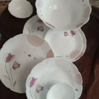 سرویس آرکوپال دسینی