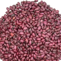 فروش ۱۲۰کیلو لوبیا قرمز درجه یک قرق ابی