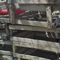 کندوی زنبور عسل