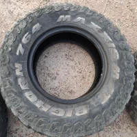لاستیک مکسس گل جنگلی MT