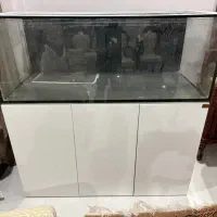 آکواریوم ریملس  با سامپ آبشور ۱۵۰
