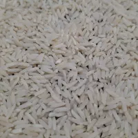 برنج هاشمی اعلا