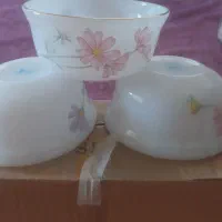 6 عدد پیاله ای ارکوپال اصل usa