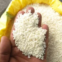 برنج ساموناسوری