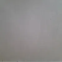 گچ کاری و لکه گیری