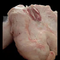 دنبه گوسفندی درجه یک