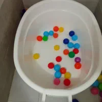 قالی 6 متری