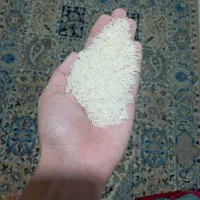 برنج فجر سوزنی درجه 1