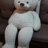 خرس ۲متری