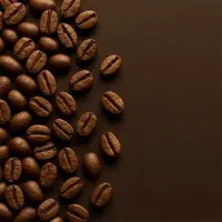 استخدام و فراخوان همکاری با شرایط ویژه