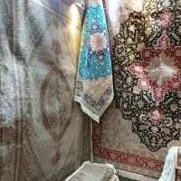 سالاری‌خطیبی‌ماهی‌علیا‌هریس ‌‌خریدار‌فرش‌‌کل‌تهران