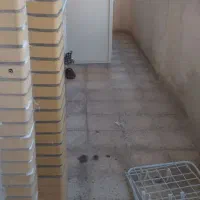 ۱۰۰مترواحد