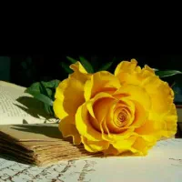 خط رند و لاکچری  09121242228