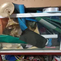 اکواریوم ماهی