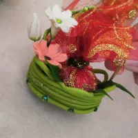 قاووت آماده ۲۸ عدد