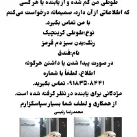 پرنده گرینچیک گمشده