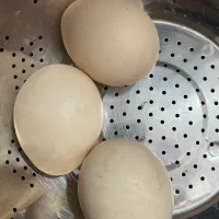 تخم طاووس