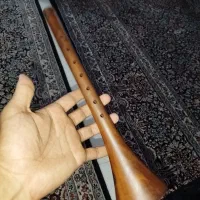 سرنا شهبازی درجه یک