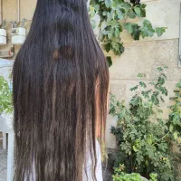 طلایی و ابریشمی