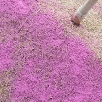 گندمدیمه|عمدهفروشی|مشهد, كنويست|دیوار