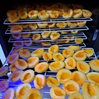 کار در داخل منزل با سرمایه اندک