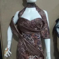 مجلسی
