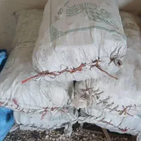 زغال درجه یک