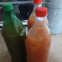 ابغوره