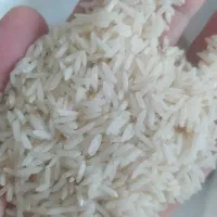 مواد غذایی