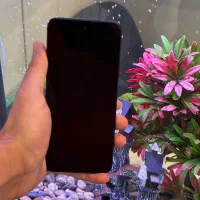 Poco M6|موبایل|تهران, گیشا|دیوار