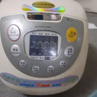 پلو پز برقی چینی
