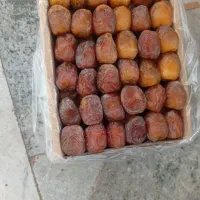 بسته بندی خرما