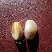 مهره