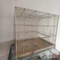 قفس و لوازم جانبی