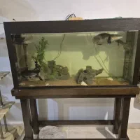 اکواریوم